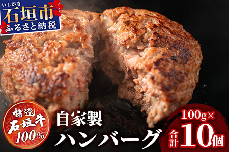 石垣牛ハンバーグ100g×10個（八重山パーツミート）I-9-1