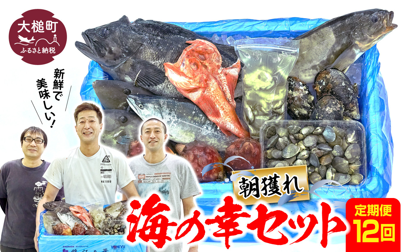 
【定期便12回】朝獲れ海の幸セット（旬の鮮魚、海藻などの詰合せ）｜鮮魚セット 鮮魚定期便 福袋 鮮魚 詰め合わせ 海鮮 魚介 魚貝 新鮮 旬 お楽しみ
