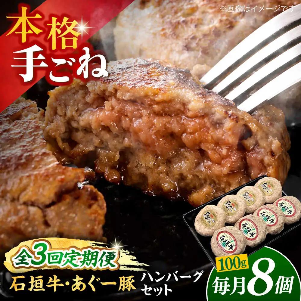 【全3回定期便】沖縄県産 あぐー豚＆石垣牛 ハンバーグセット 800g (100g×8個) 豚 牛 ハンバーグ 冷凍 ギフト お取り寄せ 沖縄市 / お肉屋本店[BCAZ015]