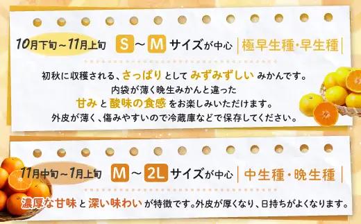 かねひろの黒酢みかん【5kg S～2L サイズ別】先行予約《11月下旬～1月上旬頃発送予定》温州みかん ふるさと納税 みかん 5kg 少量 フルーツ 甘い ジューシー 果物 蜜柑 お取り寄せ 農家直送