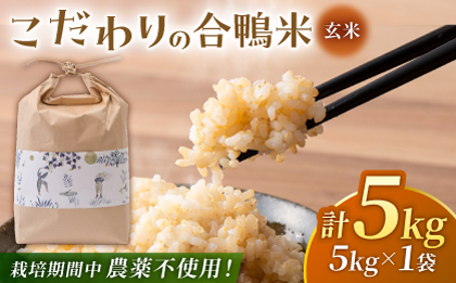 合鴨玄米 5kg 【あいがもん倶楽部】 [ZAR028]