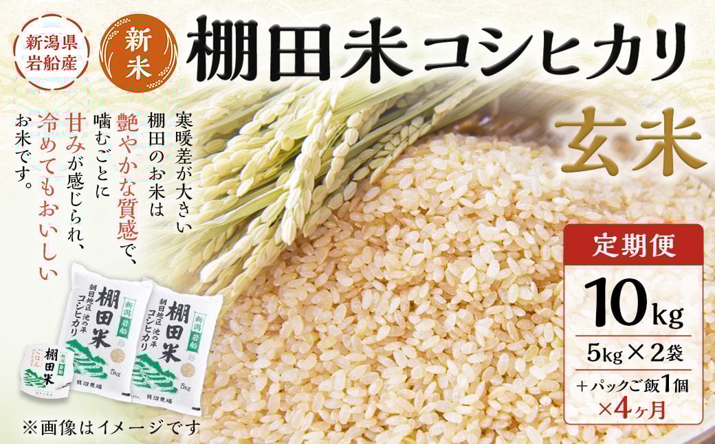 
            【新米受付・令和7年産米】【定期便：4ヶ月連続でお届け】新潟県村上市岩船産 棚田米 コシヒカリ 玄米10kg ＋ 棚田米コシヒカリのパックごはん(150g×1個)×4ヶ月 1067125N
          