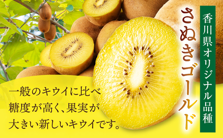 香川県オリジナルキウイフルーツ「さぬきゴールド」約　2.5㎏【香川県共通返礼品】_mk059-001