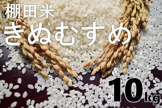 
            お米 精米 白米 棚田米 米「きぬむすめ」10kg 令和6年度産
          