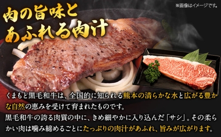 黒毛和牛 サーロインステーキ 500g 250g×2枚 牛肉