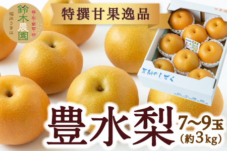 【先行予約】鈴木農園 特撰甘果逸品 豊水梨 7玉から9玉 (約3kg) 2025年8月下旬から9月中旬 出荷予定