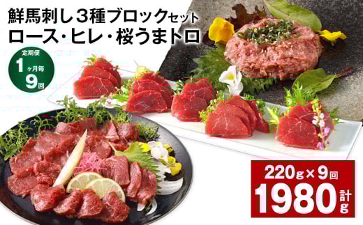 【1ヶ月毎9回定期便】鮮馬刺し3種ブロックセット (ロース・ヒレ・桜うまトロ)