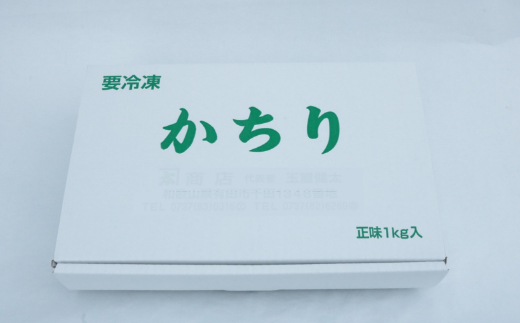479.上干ちりめん1kg(ks-1)(A479-1)