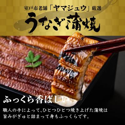 ふるさと納税 室戸市 ヤマジュウ厳選!国産蒲焼き2尾【12回定期便】 |  | 01