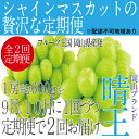 【ふるさと納税】ぶどう 2025年 先行予約 9月・10月発送 シャイン マスカット 晴王 1房 約600g ブドウ 葡萄 岡山県産 国産 フルーツ 果物 ギフト　定期便・玉野市　お届け：2025年9月中旬～2025年10月下旬