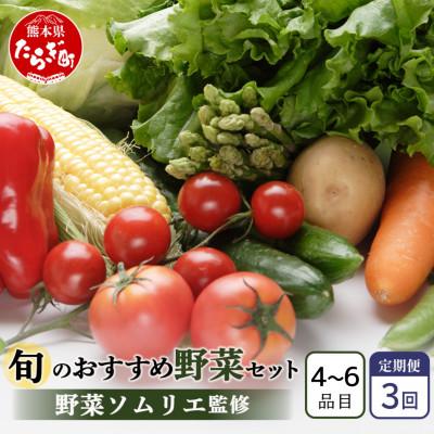 ふるさと納税 多良木町 【毎月定期便】野菜ソムリエ監修 旬のおすすめ野菜セット 4〜6種類(1〜2名様向け)全3回