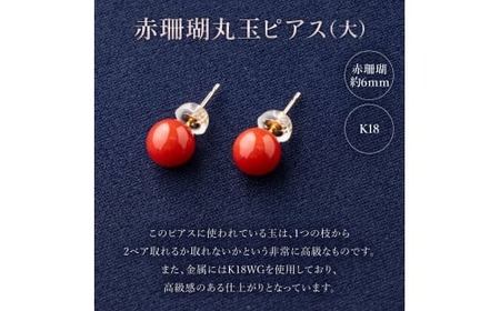 赤珊瑚 ピアス 珊瑚