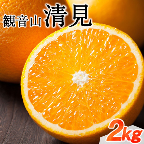 
観音山清見 2kg (約10玉-14玉前後) 有限会社柑香園《2024年2月中旬-4月上旬頃出荷》和歌山県 紀の川市 フルーツ 果物 柑橘 みかん オレンジ 清見
