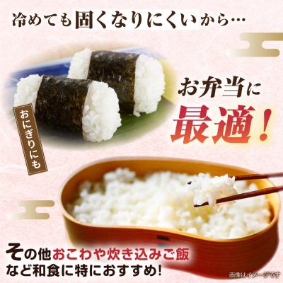 ふるさと納税 糸島市 【全12回定期便】ミルキークイーン5kg 玄米・精米専門店 新飼宗一郎商店[ADE014] |  | 02
