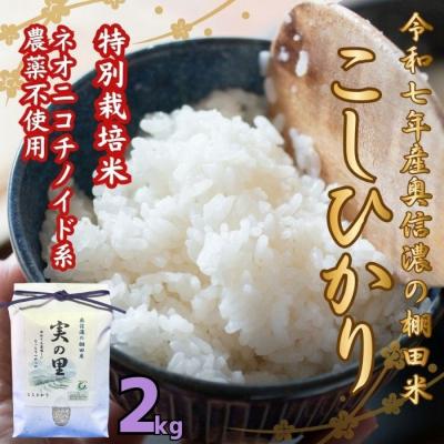 ふるさと納税 飯山市 【令和7年産】特別栽培米 『奥信濃の棚田米 実の里』こしひかり 精米 2kg(2kg×1袋)