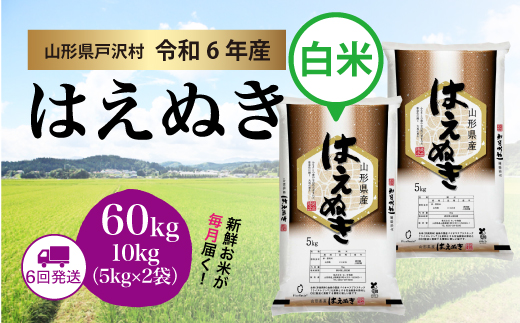 ＜令和6年産米受付　配送時期指定可＞　はえぬき【白米】60kg定期便(10kg×6回)　戸沢村