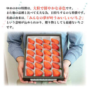 いちご ゆめのか  600g (300g×2p)  いちご いちご いちご いちご いちご いちご