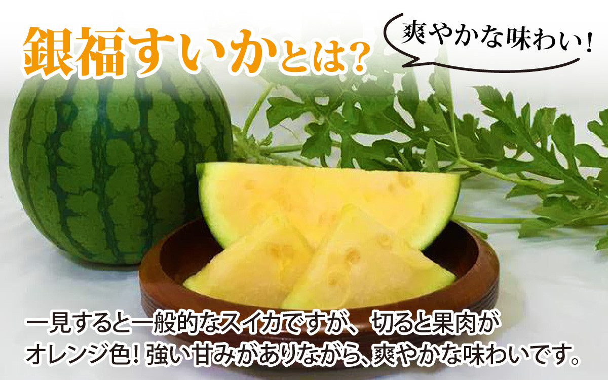 金福すいか