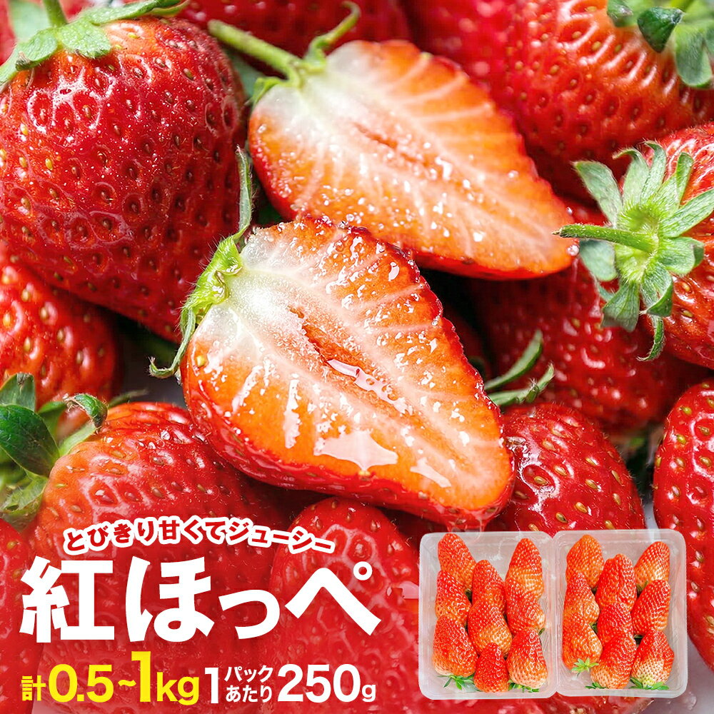 【ふるさと納税】《数量限定》 ジューシー 紅ほっぺ 500g - 1kg　選べる 苺 いちご イチゴ ストロベリー 果物 フルーツ 甘み 甘い 酸味 宮城県 宮城 石巻市 石巻