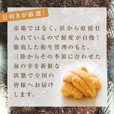ふるさと納税 石巻市 生うに 宮城県産 殻付き お造り 生ウニ 8個 冷蔵 ミョウバン不使用 無添加 雲丹 |  | 01