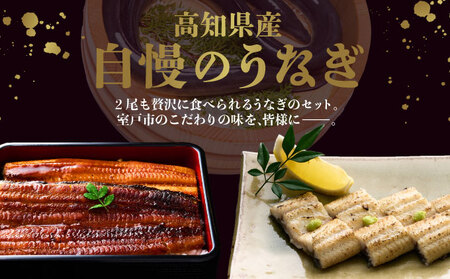 蒲焼き・白焼きを交互にお届け！国産うなぎ２尾【全４回定期便】 _ うなぎ 鰻 ウナギ 2尾 国産 高知県産 蒲焼き 白焼き かばやき 冷凍 うな重 ひつまぶし タレ ランキング 人気 4回 定期便 [