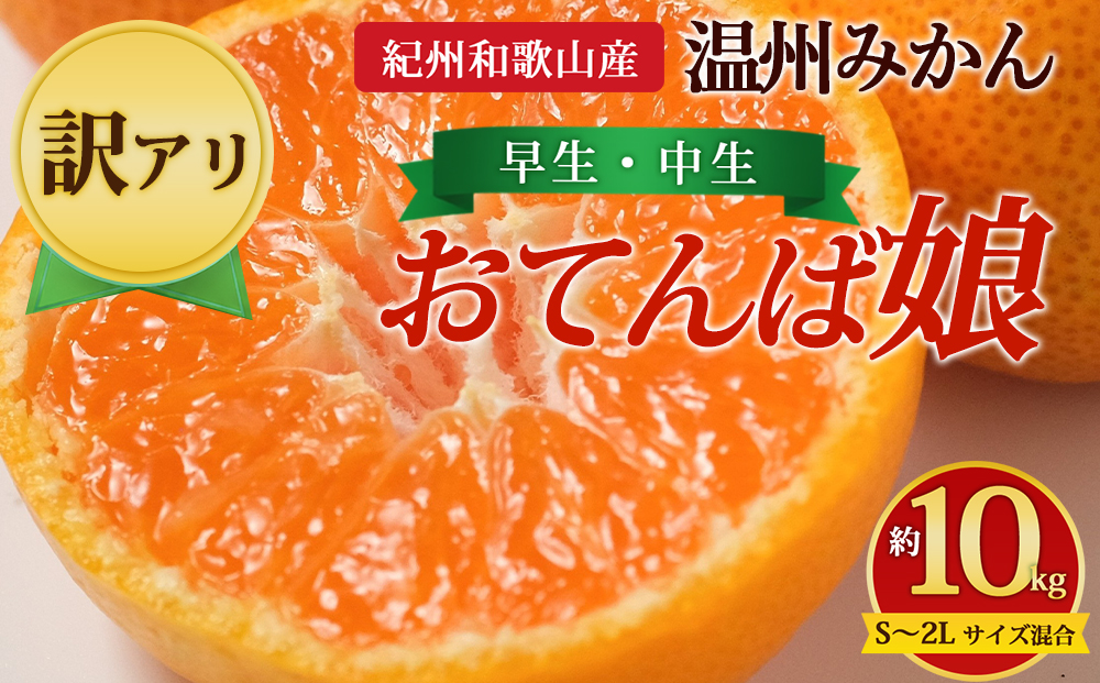 【先行予約】【訳あり】紀州和歌山産 温州みかん「おてんば娘」約10kg（箱込み）S～2L サイズ混合（早生・中生）