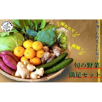 道の駅松浦海のふるさと館『旬のお野菜』の大満足セット!【配送不可地域：離島】【1487572】