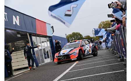 ラリージャパン【豊田スタジアムサービスパーク入場券／大人１名】4日間セット