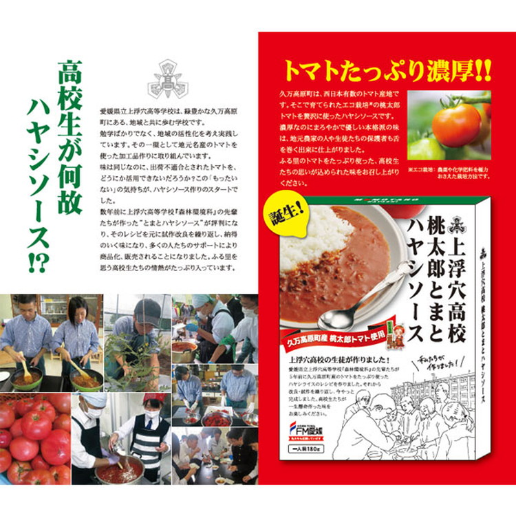 「まろやか高原カレー（180g×2箱）」「桃太郎とまとハヤシソース（180g×4箱）」｜計6箱 簡単 レトルト 食べ比べ セット ギフト 家族 一人暮らし 高校生応援