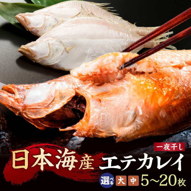 【ふるさと納税】サイズ選べる／高評価★4.8【店主一押し！絶品干物！高リピート！】エテカレイ一夜干し 中サイズ（ 朝食サイズ ）12枚 20枚 大サイズ（夕食サイズ） 5枚 10枚 選べる サイズ 干物 ひもの 冷凍 魚介 カレイ エテガレイ 魚 おかず おつまみ 夕食 海鮮