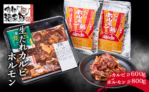 南部福来豚(なんぶふくぶた)の生たれカルビとホルモンセット【配送不可地域：離島】【1073157】