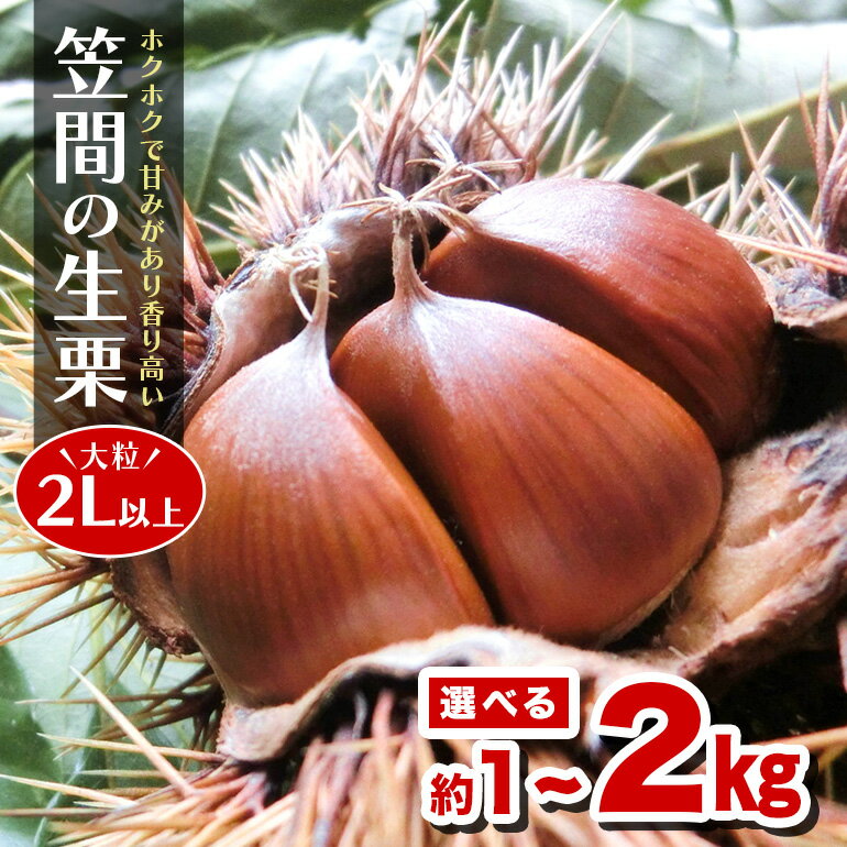 【ふるさと納税】 笠間の生栗 選べる 1kg 2kg 低温熟成 利平 2L以上 日本一 栗生産量 茨城県 栗 くり 生栗 熟成栗 大きい 大粒 茨城 国産 和栗 甘栗 栗ご飯 栗きんとん 栗おこわ 甘露煮 マロン 秋 旬 おやつ スイーツ きんとん 冷蔵 保存料不使用 無添加 笠間市 送料無料