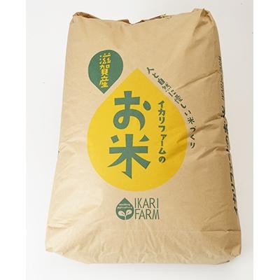 ふるさと納税 近江八幡市 【令和8年産】冷めても美味しいあっさりとした味わい「みずかがみ」玄米30kg