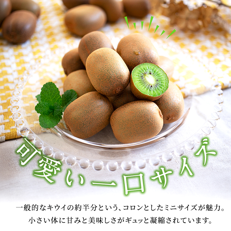 キウイ さぬきキウイっこ キウイっこ 約800g キウイフルーツ 讃岐 香川県オリジナル 一口サイズ ミニサイズ ミニ 小さい 毛がない サイズバラ 果物 フルーツ くだもの お取り寄せ デザート おやつ 朝食 香川県 東かがわ市
