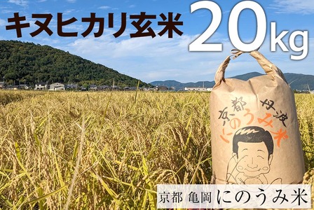 【令和8年産先行予約】米 キヌヒカリ 玄米 20kg〈アグリにのうみ〉