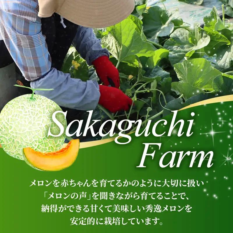 【2027年発送】富良野メロン 山部の絶品『鳳凰』2L 2玉 計約3.6kg以上