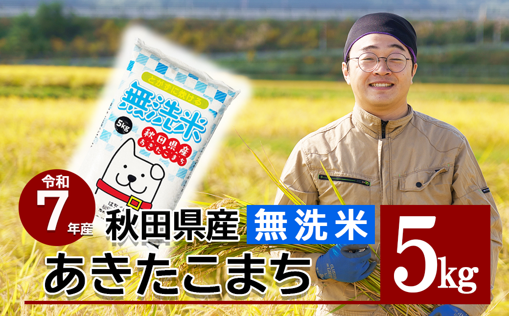 【令和7年産】秋田県産「あきたこまち（無洗米）」 5kg（5kg×1袋）50P9203