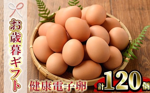 【令和7年お歳暮対応】健康電子卵 赤卵 Lサイズ 120個（10個×12パック）（うち、割れ保証分10個）国産 鹿児島県産 鶏卵【SA-304H】