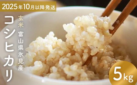コシヒカリ 玄米 5kg 富山県氷見産 ＜2025年10月以降発送＞ 富山県 氷見市 米 コシヒカリ