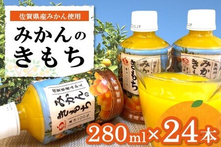 みかんのきもち 280ml×24本(1ケース)【JA みかんジュース さがみかん 果汁100％ 美味しい コク 飲みきり 280ml】 A3-F012019