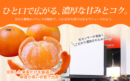 ＼光センサー選別／極 有田みかんプレミアム 約3.5kg【光センサー 高糖度選別品】2S～Lサイズ 有機質肥料100% ※2025年11月下旬頃～2026年1月上旬頃に順次発送予定 ※北海道・沖縄・離