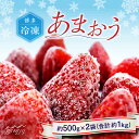 【ふるさと納税】福岡県産【博多冷凍あまおう】約500g×2袋 合計約1kg＜株式会社H&Futures＞ 那珂川市 いちご フルーツ くだもの 果物 あまおう 九州産 苺 国産 冷凍いちご[GDS005]11000 11000円