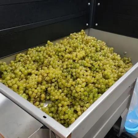 ワイン シャルドネ 白 750ml×1本 【2022遠野ワイン】【1743125】