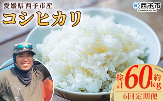 【先行予約】＜令和8年産 愛媛県西予市産 コシヒカリ 10kg（6回定期便）＞ 定期便 国産 愛媛県産 宇和町産 こしひかり お米 米 コメ こめ 白米 精米 ご飯 新鮮 10キロ 特産品 もとき農園 愛媛県 西予市【常温】『2026年10月・11月頃から順次発送予定』
