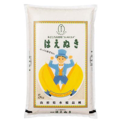 ふるさと納税 戸沢村 ≪新米先行予約≫【定期便5回】令和8年度 はえぬき 10kg(5kg×2)×5回 F7W-0541 |  | 01