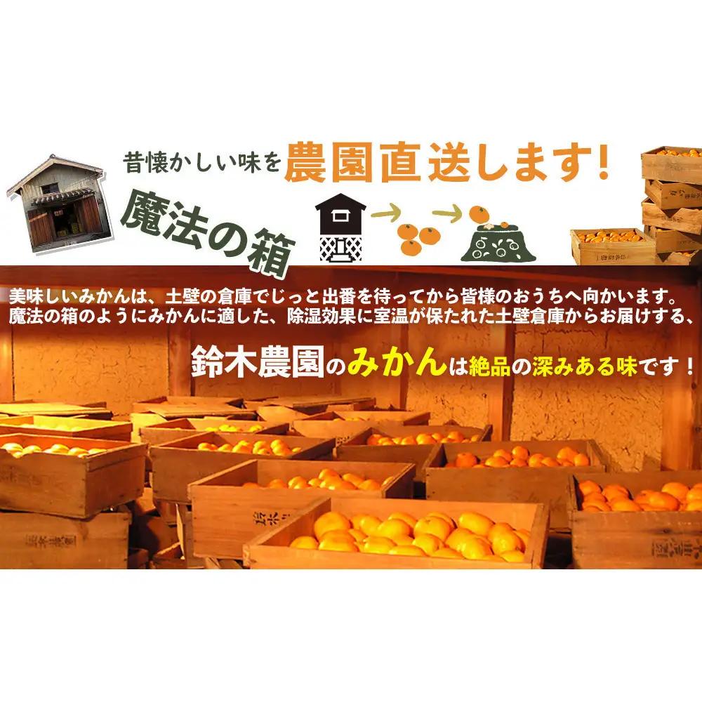 蔵出しみかん 3kg 鈴木農園が厳選したプレミアム 冬みかん 少量で1月・2月の贈答用におすすめ