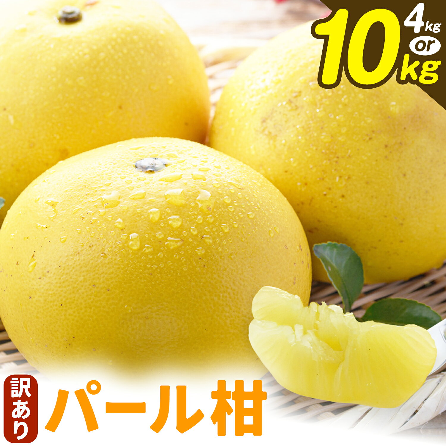 【ふるさと納税】【2027年先行予約】訳あり パール柑 選べる 約4kg 約10kg 都呂々みかん生産者グループ《3月上旬-4月中旬頃出荷予定》熊本県 苓北町 みかん 果物 フルーツ
