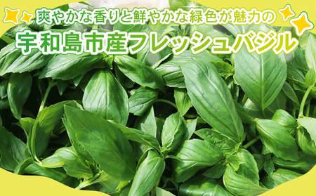 フレッシュ バジル 500g 本城ファーム ハーブ 生バジル ばじる はーぶ 香草 水耕栽培 野菜 やさい 美味しい 新鮮 イタリア料理 イタリアン パスタ ソース ジェノベーゼ マルゲリータ アレン