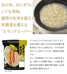 定期便6ヶ月 金のいぶきプレミアム玄米ごはん120g×48個 パックごはん パックご飯 防災 米 レトルト ごはんパック