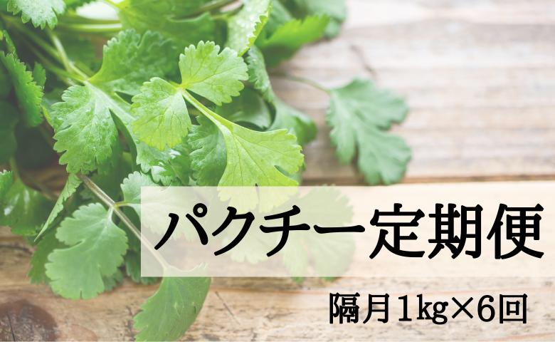 
                  【隔月定期便】香り高き新鮮パクチー 1㎏×6回お届け
                